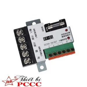 Output Module 24VDC RY-01