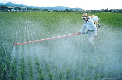 Mang mặc nạ phòng độc và quần áo bảo hộ vô cùng quan trọng để bảo vệ sức khỏe của bạn 