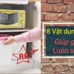 Có 8 món này chuột gián không dám bén mảng vào bếp nhà bạn