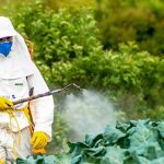 Mặt nạ phun thuốc trừ sâu là gì? Công dụng thế nào?