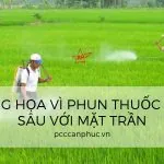 Gặp họa khi không đeo mặt nạ phòng thuốc trừ sâu chuyện xưa mà không cũ