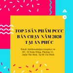 TOP 5 SẢN PHẨM PCCC BÁN CHẠY NĂM 2020 CỦA AN PHÚC