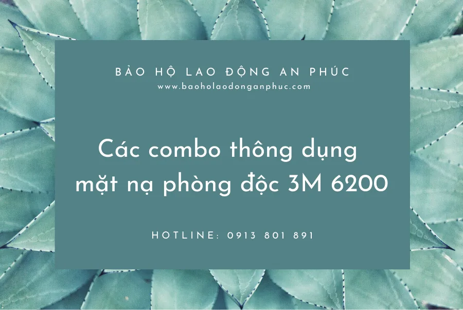 Mặt nạ phòng độc 3M 6200 kèm phin lọc
