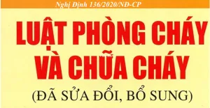 nghị định 136/2020/NĐ-CP