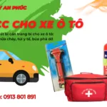 Bộ 3 sinh tồn cần trang bị trên xe ô tô : bình chữa cháy, búa thoát hiểm, túi y tế